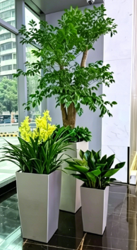 海曙花卉租摆活动哪个好？详细对比评测